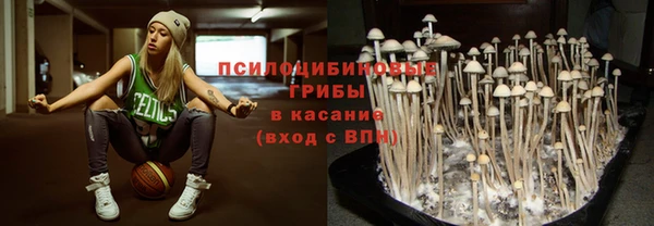 сатива Бугульма