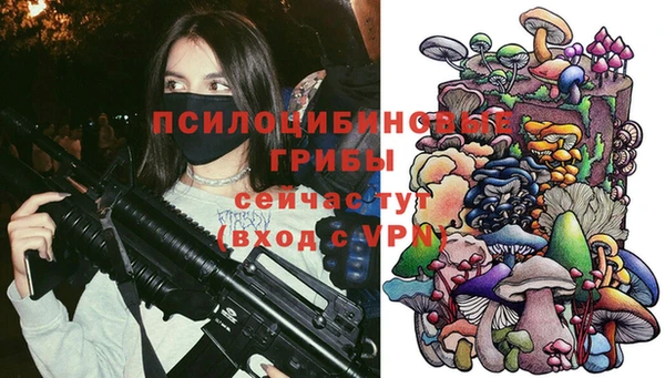 соль ск Бородино