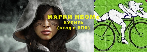 соль ск Бородино