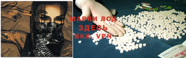 сатива Бугульма